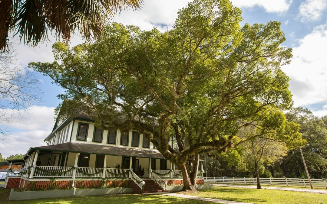 Paradise Cove Orlando